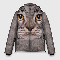 Куртка зимняя мужская Котик, цвет: 3D-светло-серый