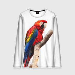 Лонгслив мужской Яркий попугай, цвет: 3D-принт
