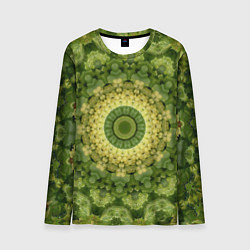 Лонгслив мужской Виноград Символ Изобилия, цвет: 3D-принт