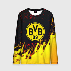 Мужской лонгслив Borussia краски соты
