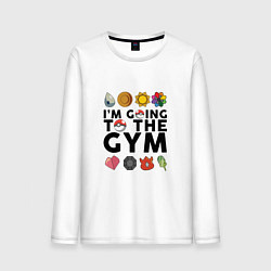 Мужской лонгслив Pokemon Im going to the gym (black)