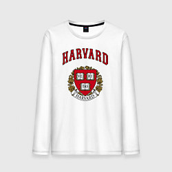 Мужской лонгслив Harvard university