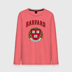 Мужской лонгслив Harvard university