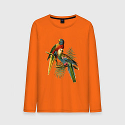 Лонгслив хлопковый мужской Тропические попугаи цвета оранжевый — фото 1