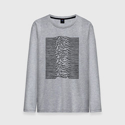 Мужской лонгслив Unknown Pleasures