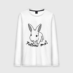 Мужской лонгслив Rabbit: follow me