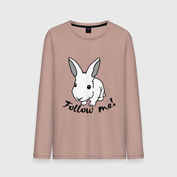 Мужской лонгслив Rabbit: follow me