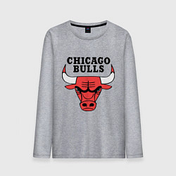 Мужской лонгслив Chicago Bulls