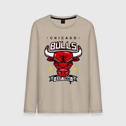 Мужской лонгслив Chicago Bulls est. 1966