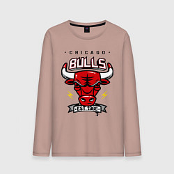 Мужской лонгслив Chicago Bulls est. 1966