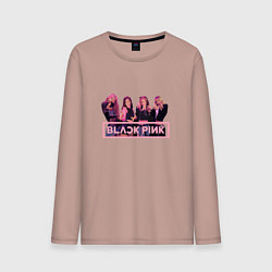 Лонгслив хлопковый мужской Black Pink Band, цвет: пыльно-розовый