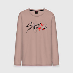 Лонгслив хлопковый мужской STRAY KIDS BANGCHAN, цвет: пыльно-розовый