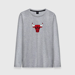 Мужской лонгслив CHICAGO BULLS