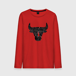 Мужской лонгслив Bulls - Jordan