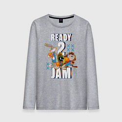 Лонгслив хлопковый мужской Ready 2 Jam, цвет: меланж