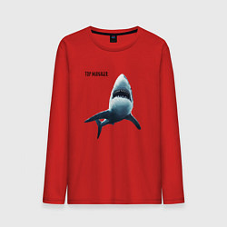 Лонгслив хлопковый мужской Акула - топ менеджер, цвет: красный