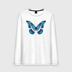 Мужской лонгслив Blue butterfly синяя бабочка