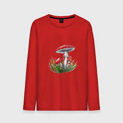 Лонгслив хлопковый мужской Мухоморы в траве, цвет: красный