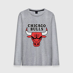 Мужской лонгслив Chicago Bulls