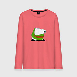 Мужской лонгслив Booba Pepe