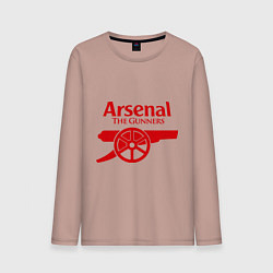 Мужской лонгслив Arsenal: The gunners