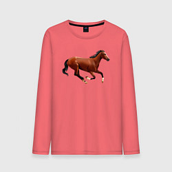 Лонгслив хлопковый мужской Чистокровная верховая лошадь, цвет: коралловый