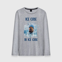 Мужской лонгслив Ice Cube in ice cube