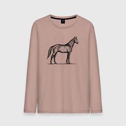 Лонгслив хлопковый мужской Лошадь в профиль, цвет: пыльно-розовый