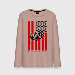 Мужской лонгслив Slayer Flag