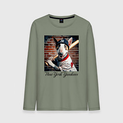 Лонгслив хлопковый мужской Bull terrier - New York yankees baseball team, цвет: авокадо