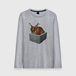 Лонгслив хлопковый мужской Кот блоггер Шлепа, цвет: меланж