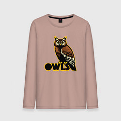 Мужской лонгслив Owls