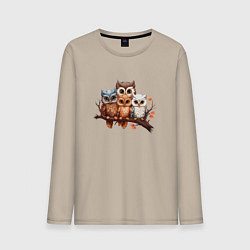 Лонгслив хлопковый мужской Четыре совы на ветке, цвет: миндальный