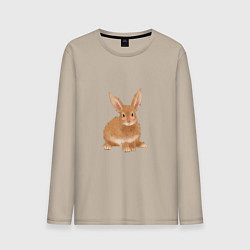 Лонгслив хлопковый мужской Милый пушистый зайка, цвет: миндальный
