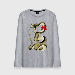 Лонгслив хлопковый мужской Золотой удав, цвет: меланж