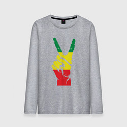 Лонгслив хлопковый мужской Jamaica peace, цвет: меланж