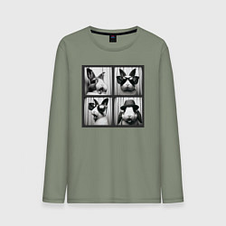 Лонгслив хлопковый мужской Кролик в фотобудке, цвет: авокадо