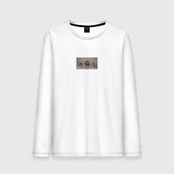 Лонгслив хлопковый мужской Пошлая моле мем, цвет: белый