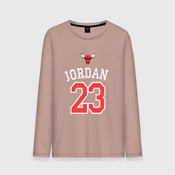 Мужской лонгслив Jordan 23