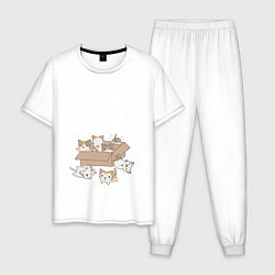 Пижама хлопковая мужская Котики в коробке, цвет: белый