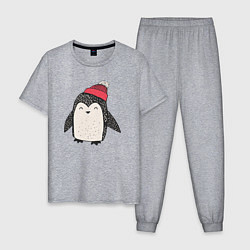 Пижама хлопковая мужская Зимний пингвин-мальчик, цвет: меланж