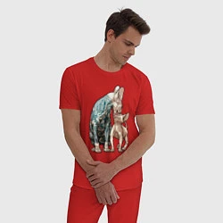 Пижама хлопковая мужская Кошки сфинксы, цвет: красный — фото 2