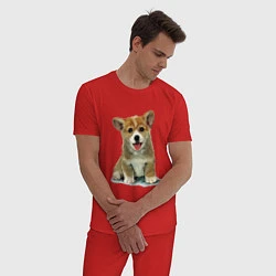 Пижама хлопковая мужская Песик коржик, цвет: красный — фото 2