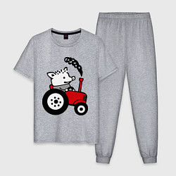 Пижама хлопковая мужская Поросенок Петр, цвет: меланж