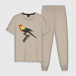 Пижама хлопковая мужская Попугай аратинга, цвет: миндальный