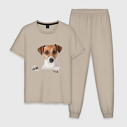 Пижама хлопковая мужская Собака, цвет: миндальный