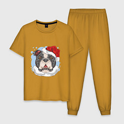 Пижама хлопковая мужская Собачий Санта, цвет: горчичный