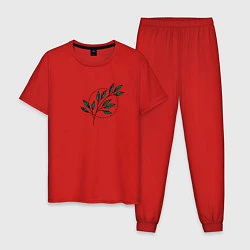 Пижама хлопковая мужская Leaves, цвет: красный