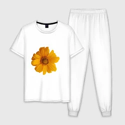 Пижама хлопковая мужская Подсолнух, цвет: белый