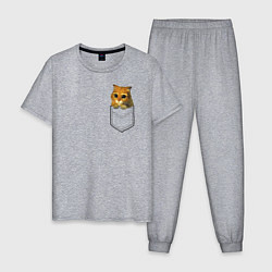 Пижама хлопковая мужская Шрек: Кот в кармане, цвет: меланж